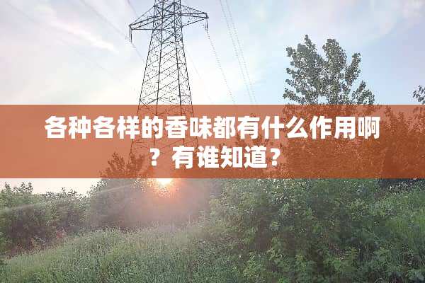 各种各样的香味都有什么作用啊？有谁知道？