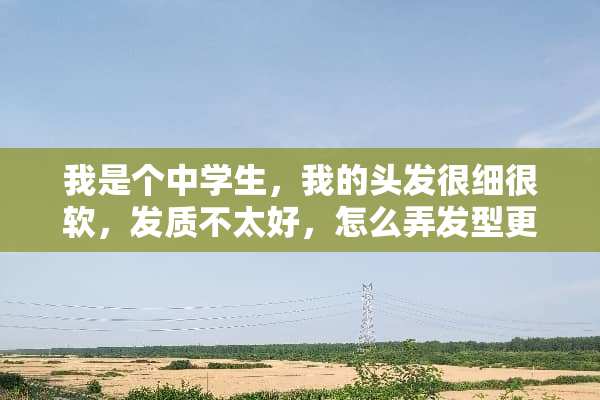 我是个中学生，我的头发很细很软，发质不太好，怎么弄发型更好看？