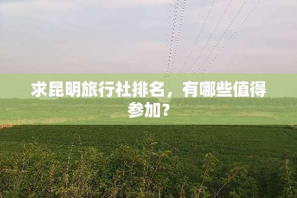求昆明旅行社排名，有哪些值得参加？