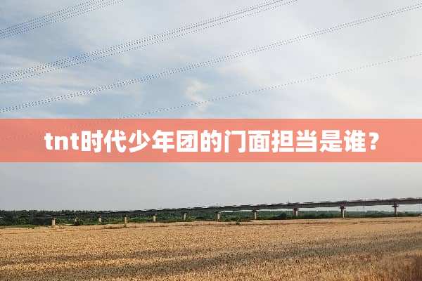 tnt时代少年团的门面担当是谁？