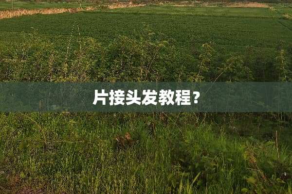 片接头发教程？
