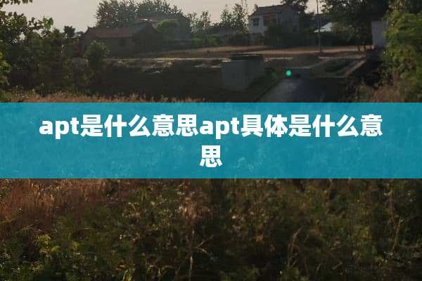apt是什么意思apt具体是什么意思