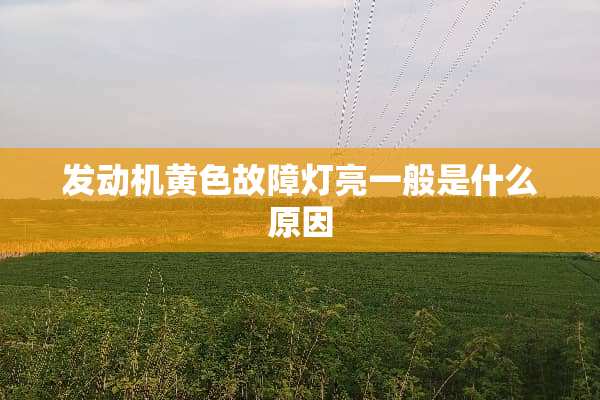 发动机**故障灯亮一般是什么原因