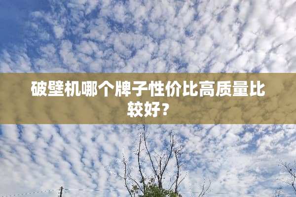 破壁机哪个牌子性价比高质量比较好？