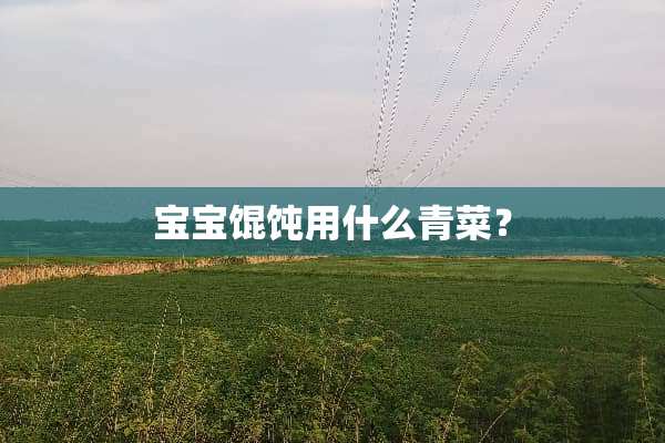 宝宝馄饨用什么青菜？