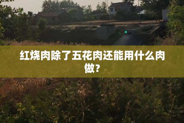 红烧肉除了五花肉还能用什么肉做？