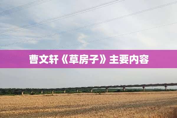 曹文轩《草房子》主要内容