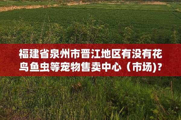 福建省泉州市晋江地区有没有花鸟鱼虫等宠物售卖中心（市场)？