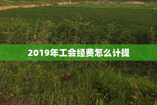 2019年工会经费怎么计提