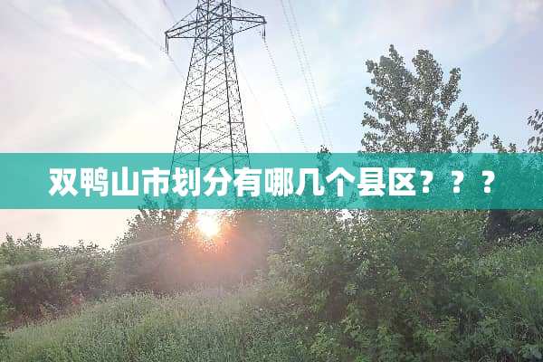 双鸭山市划分有哪几个县区？？？