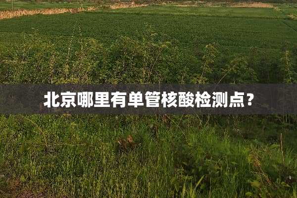 北京哪里有单管核酸检测点？