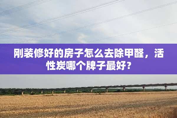 刚装修好的房子怎么去除甲醛，活性炭哪个牌子最好？