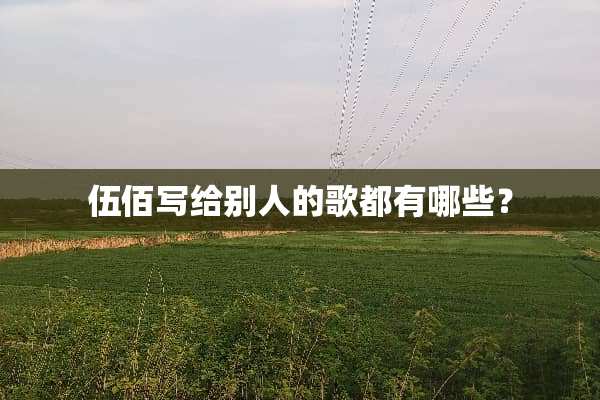 伍佰写给别人的歌都有哪些？