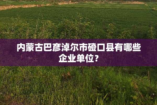 ***巴彦淖尔市磴口县有哪些企业单位？