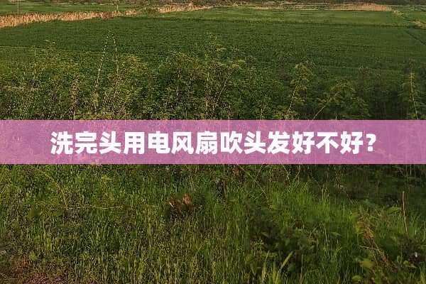 洗完头用电风扇吹头发好不好？
