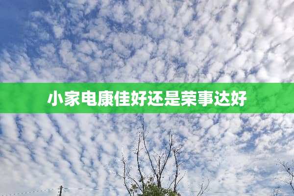 小家电康佳好还是荣事达好