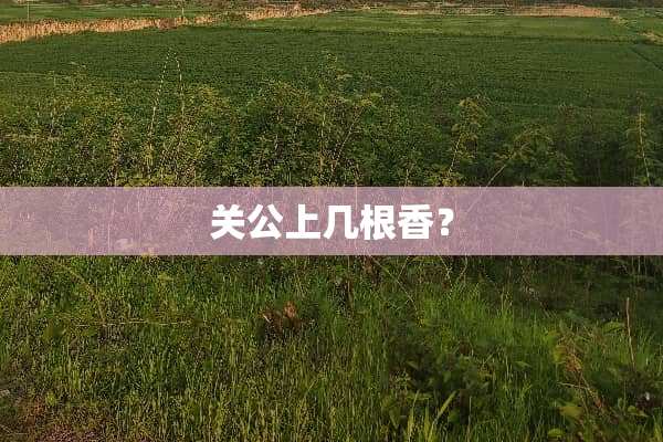 关公上几根香？