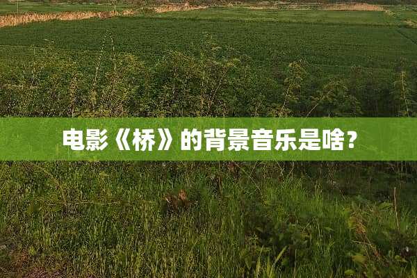 电影《桥》的背景音乐是啥？