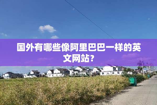 国外有哪些像阿里巴巴一样的英文网站？