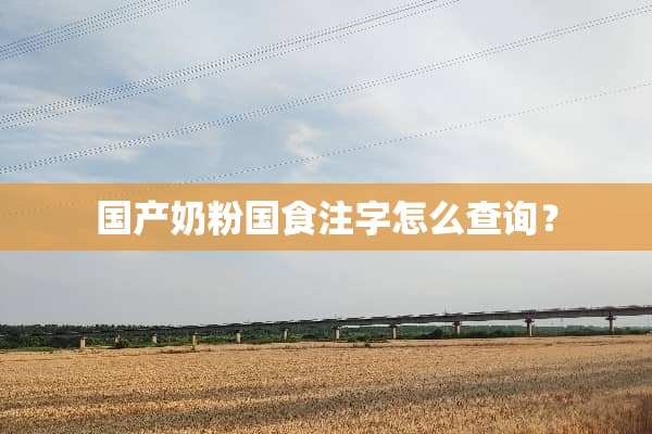 国产奶粉国食注字怎么查询？