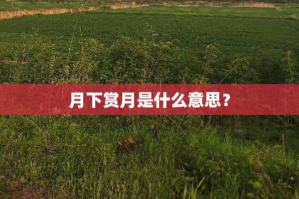月下赏月是什么意思？