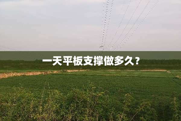 一天平板支撑做多久？