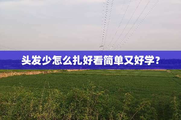 头发少怎么扎好看简单又好学？