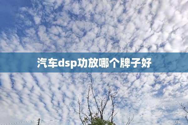 汽车dsp功放哪个牌子好