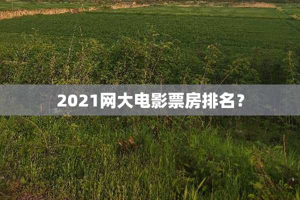 2021网大电影票房排名？