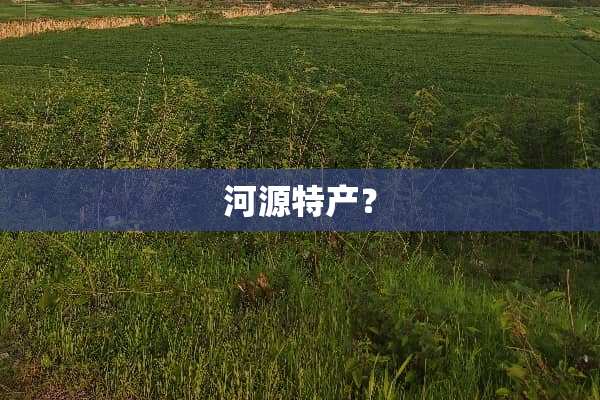 河源特产？