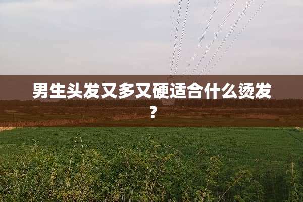 男生头发又多又硬适合什么烫发？