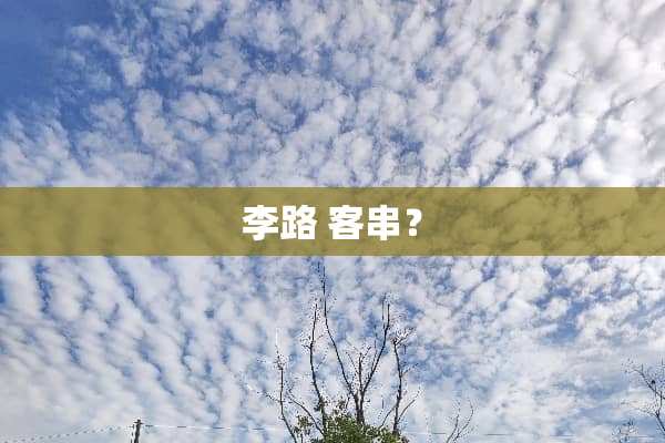 李路 客串？