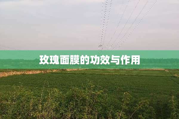 玫瑰面膜的功效与作用