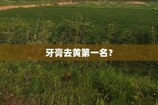 牙膏去黄第一名？