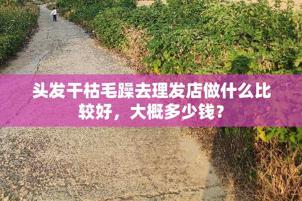 头发干枯毛躁去理发店做什么比较好，大概多少钱？
