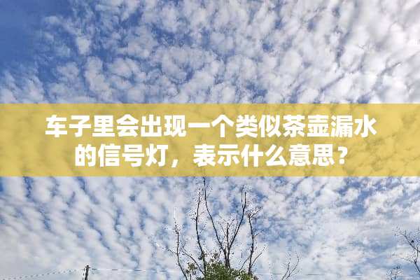 车子里会出现一个类似茶壶漏水的信号灯，表示什么意思？