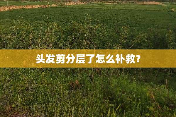 头发剪分层了怎么补救？