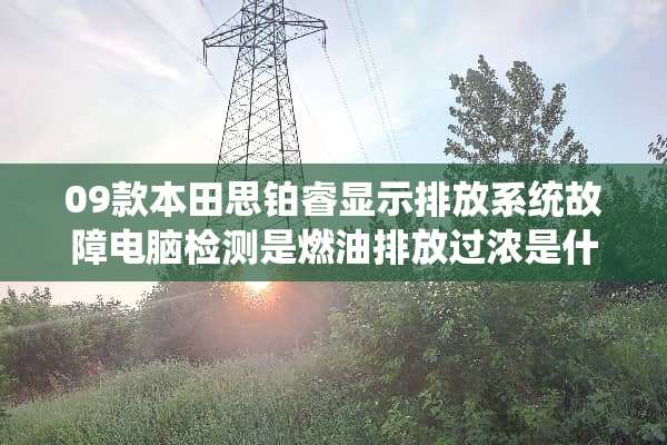 09款本田思铂睿显示排放系统故障电脑检测是燃油排放过浓是什么问题