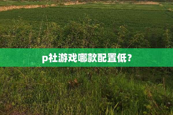 p社游戏哪款配置低？