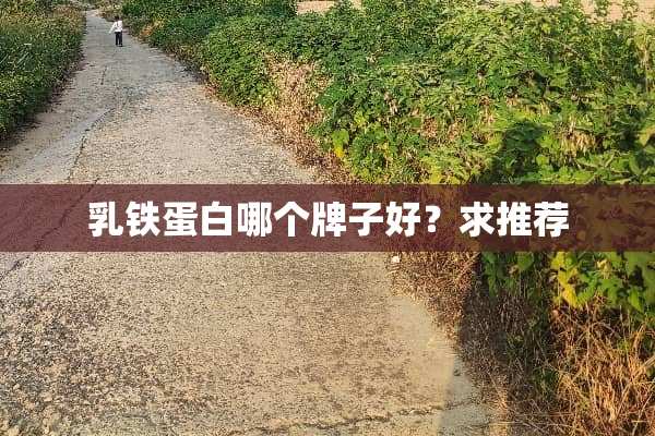 *铁蛋白哪个牌子好？求推荐