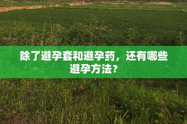 除了***和避孕药，还有哪些避孕方法？