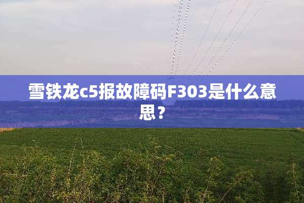 雪铁龙c5报故障码F303是什么意思？