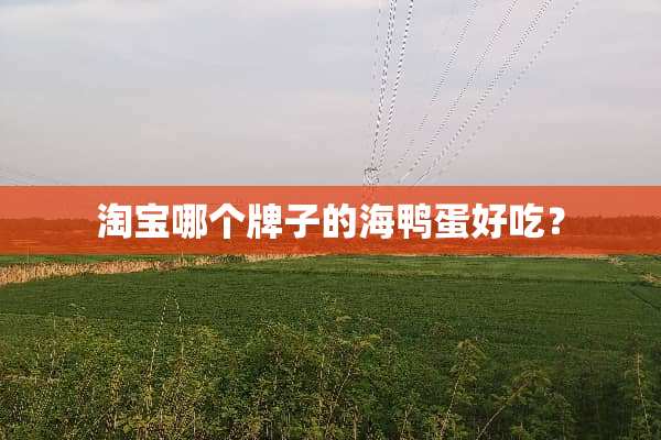 淘宝哪个牌子的海鸭蛋好吃？