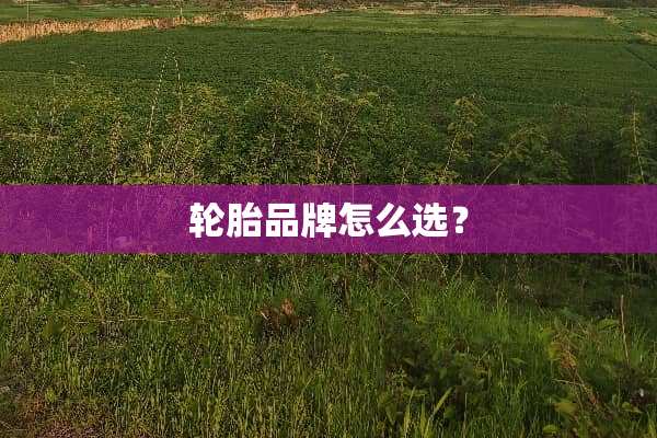 轮胎品牌怎么选？