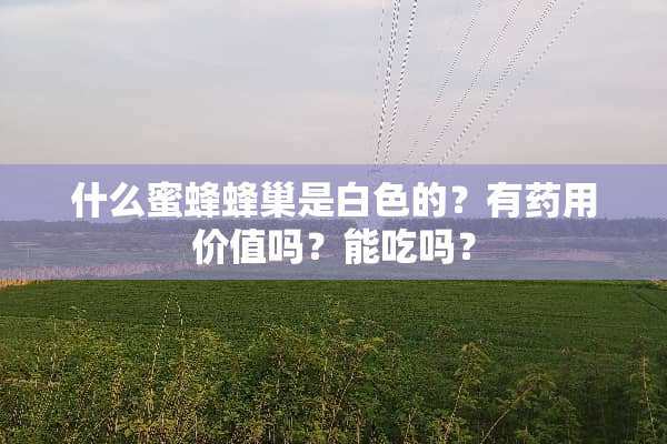 什么蜜蜂蜂巢是白色的？有药用价值吗？能吃吗？