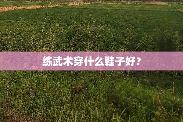 练武术穿什么鞋子好？