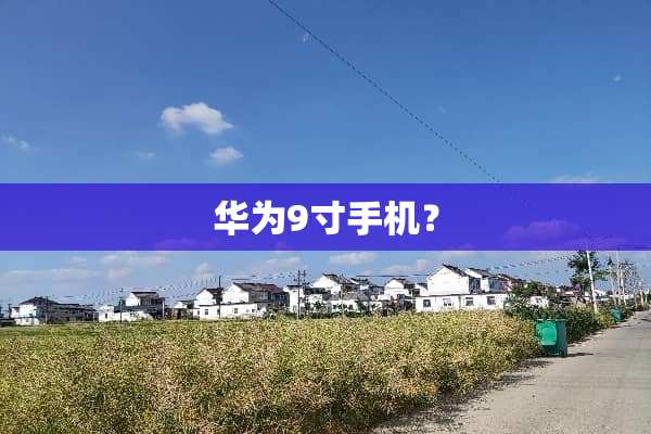 华为9寸手机？