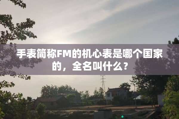 手表简称FM的机心表是哪个国家的，全名叫什么？