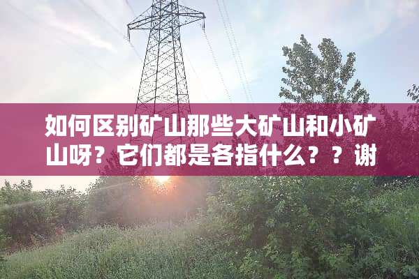 如何区别矿山那些大矿山和小矿山呀？它们都是各指什么？？谢谢各位了