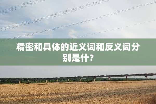 精密和具体的近义词和反义词分别是什？